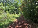  Finca Naranjalito Hills - Photo 6