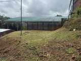  Cedral - Photo 5
