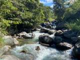  Cacique | Chirripo - Photo 11