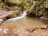  Cacique | Chirripo - Photo 15