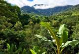  Cacique | Chirripo - Photo 9