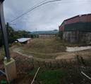  Cedral - Photo 6