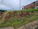  Cedral - Photo 8