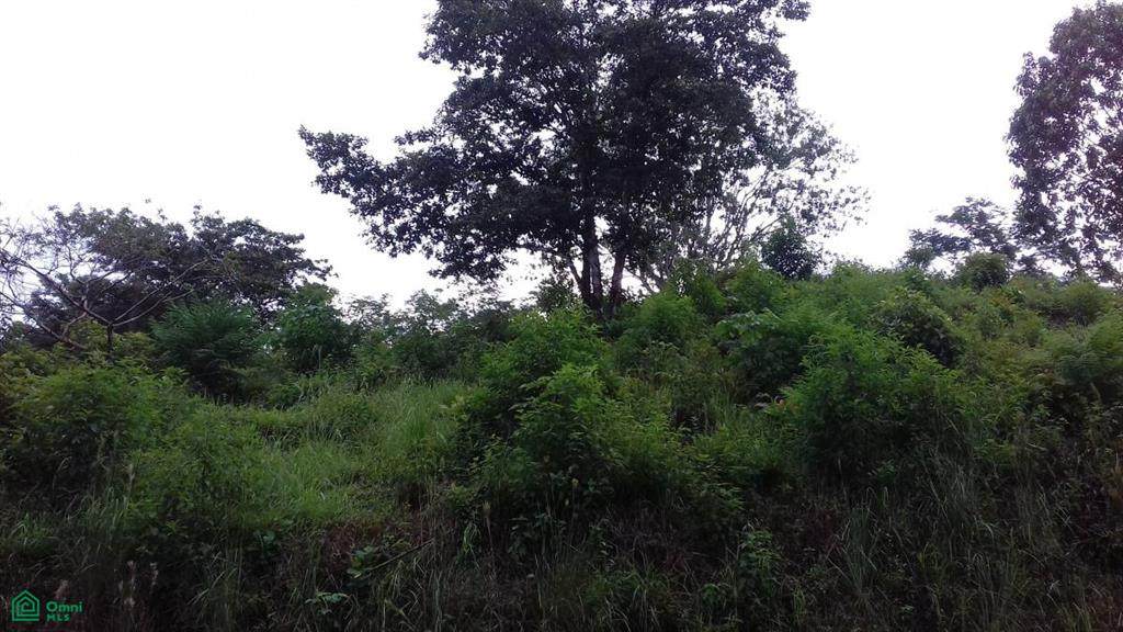 s/n Address Not Published - Photo 1