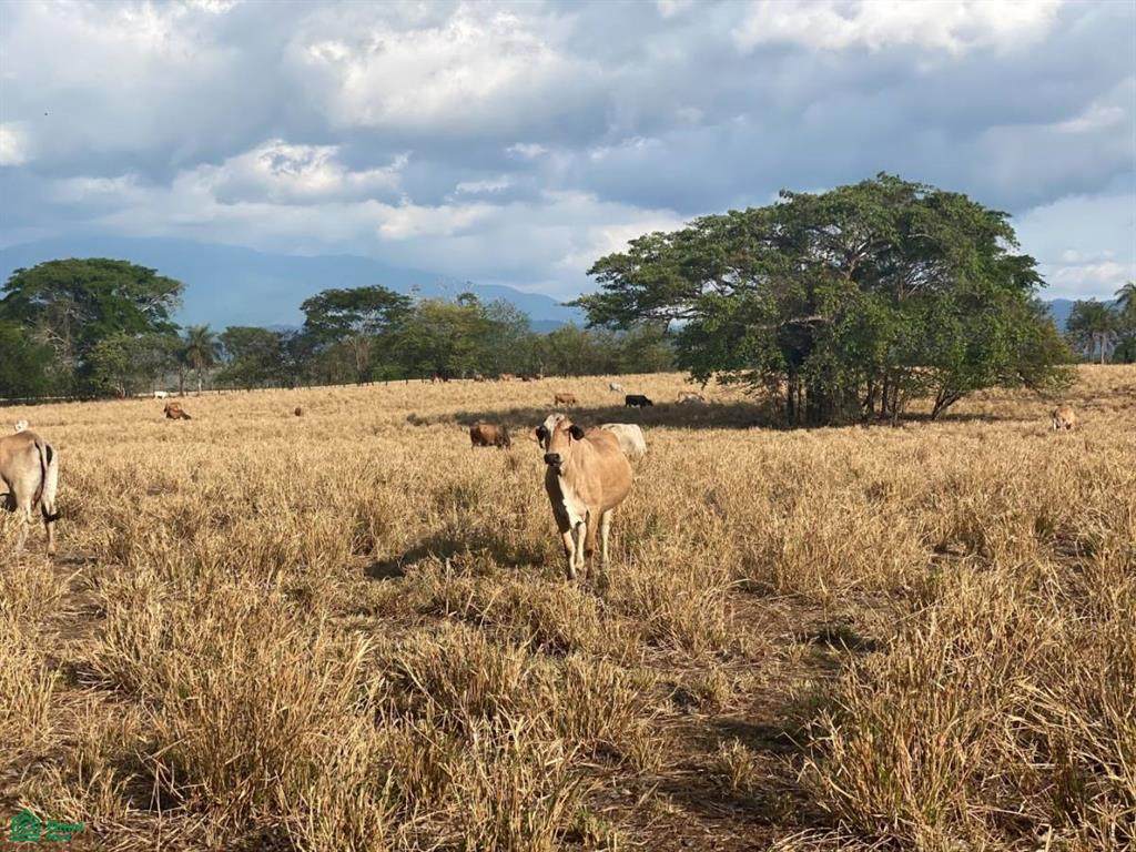 s/n Address Not Published - Photo 1