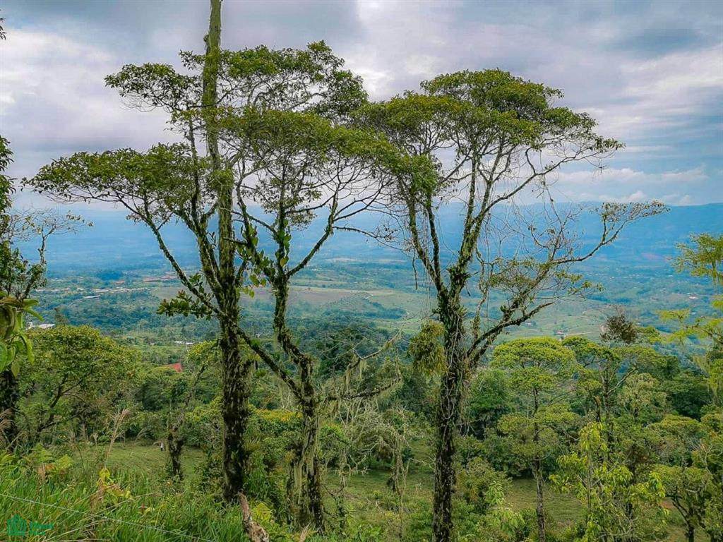  2 Km Sur Este De La Escuela - Photo 1