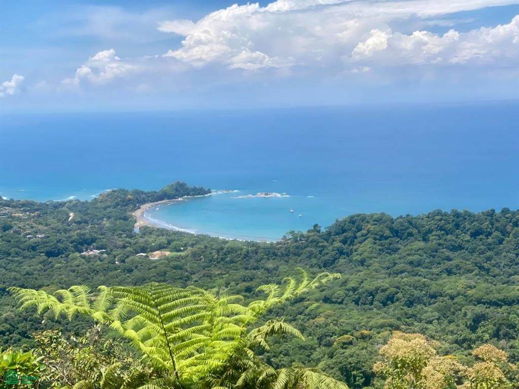 s/n Dominical - Photo 1