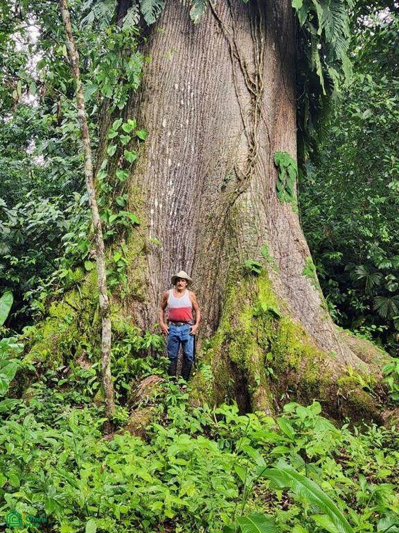  Boca De Gallardo - Photo 1