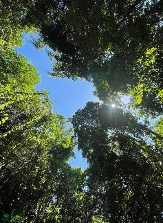  Address Not Published - Photo 1