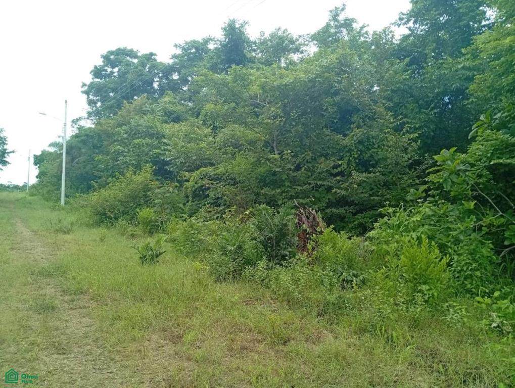  Eco-Reserva Bajamar - Photo 1