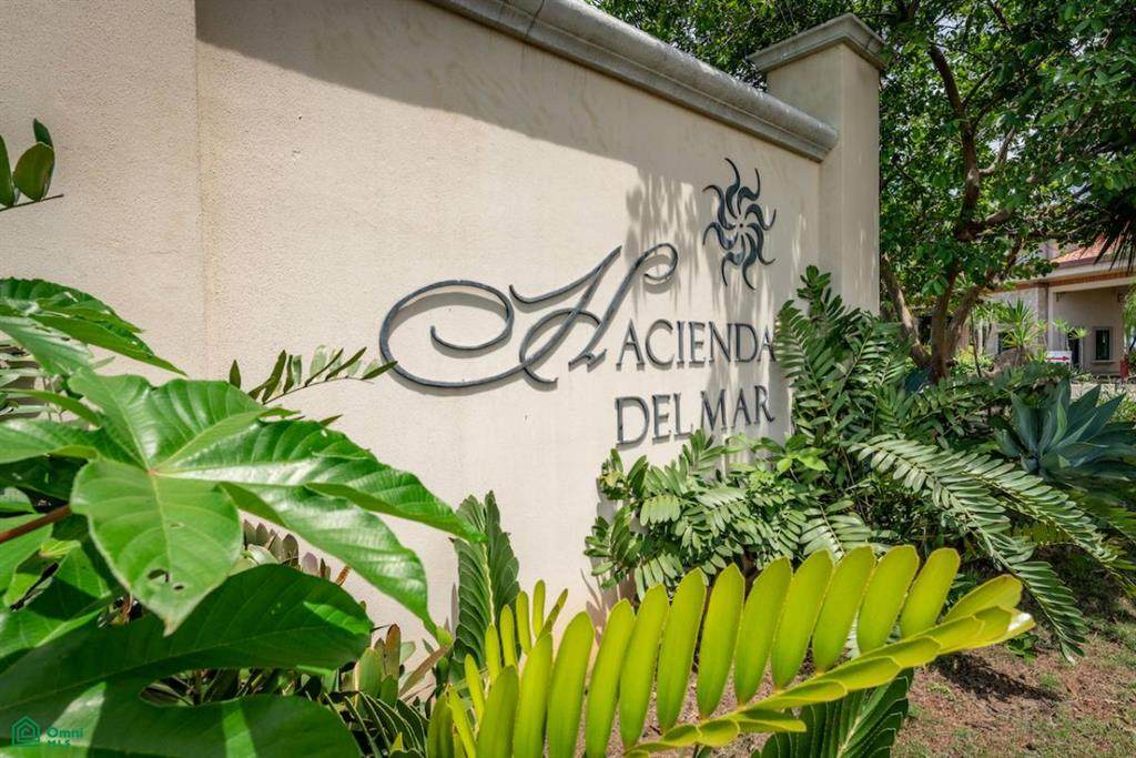  Hacienda Del Mar 19 - Photo 1