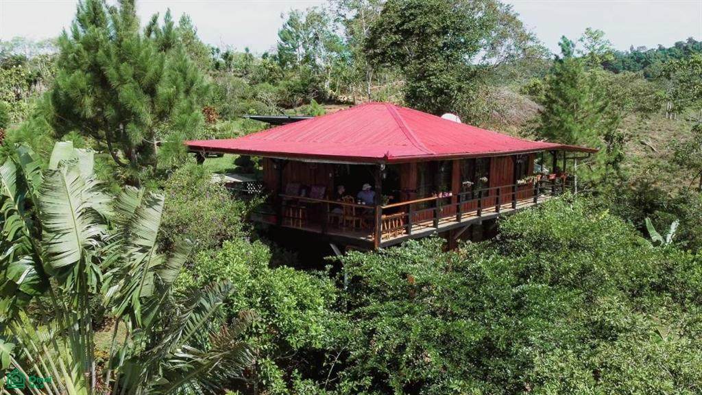  Copal, Sabalito - Photo 1