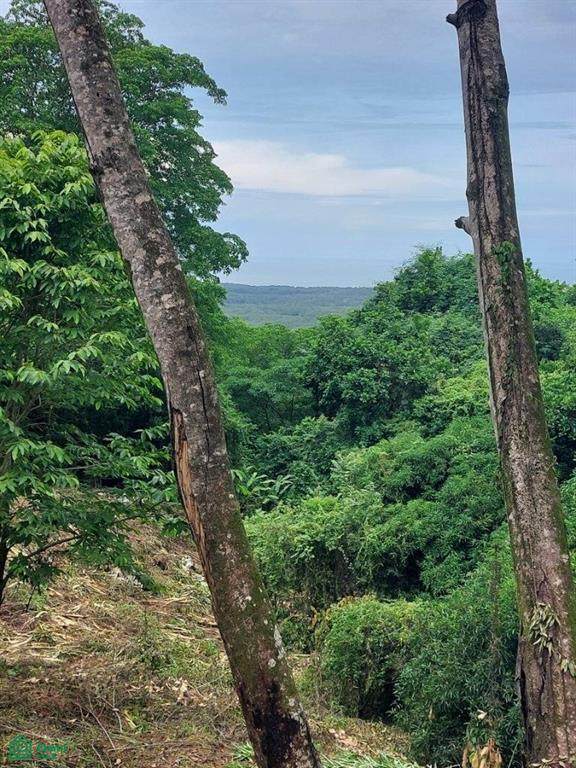  Address Not Published - Photo 1