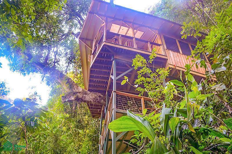 60505 Finca Bellavista - Photo 1