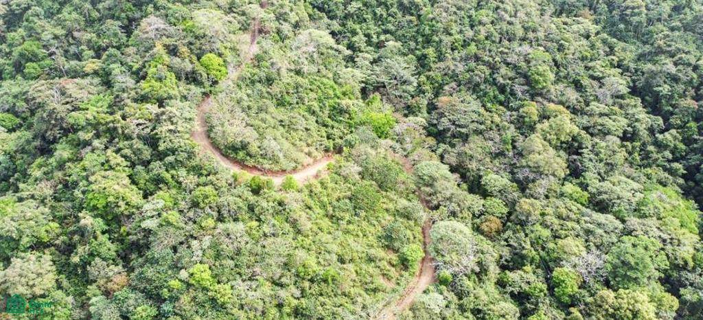  Los Miradores - Photo 1