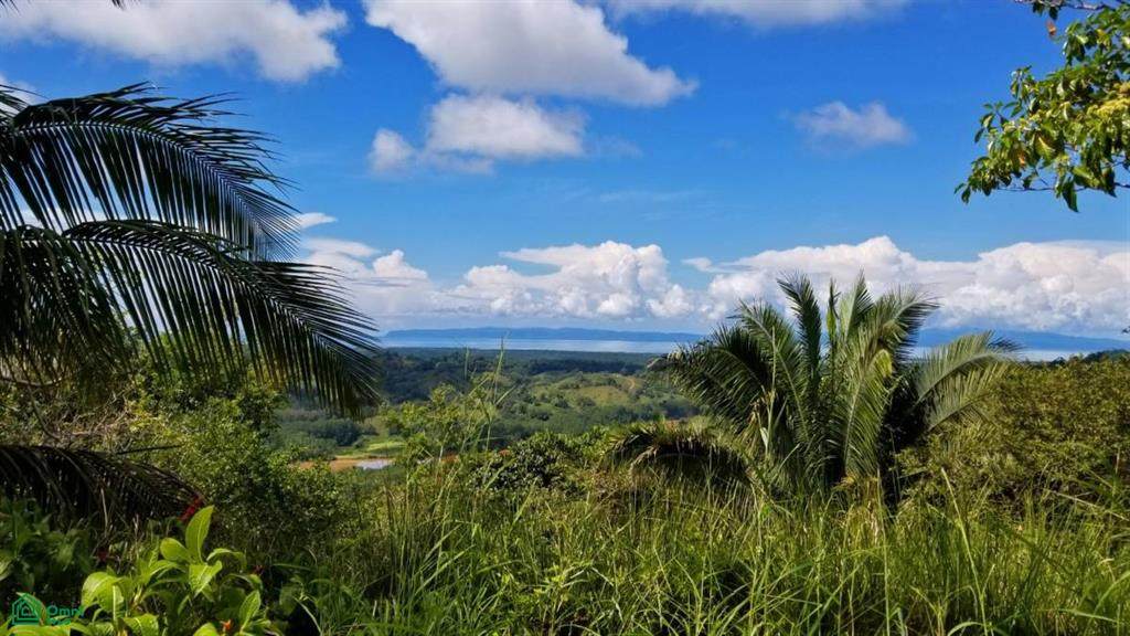  La Florida De Golfito - Photo 1