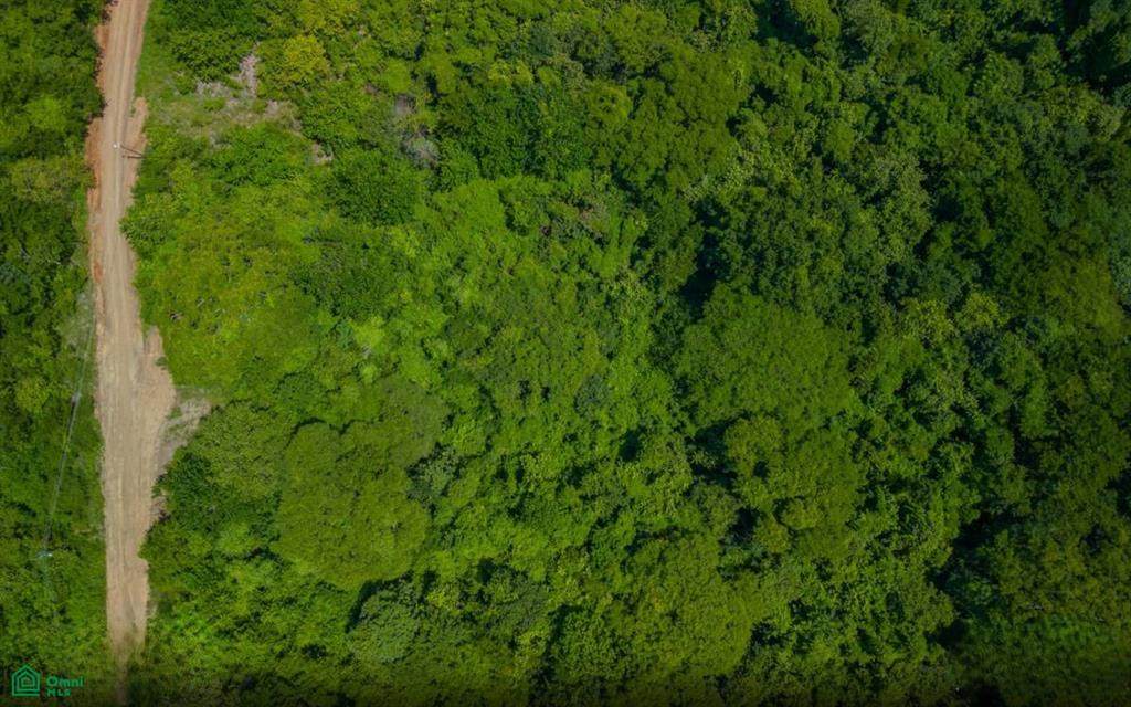  Gated Community Eco Development - Photo 1