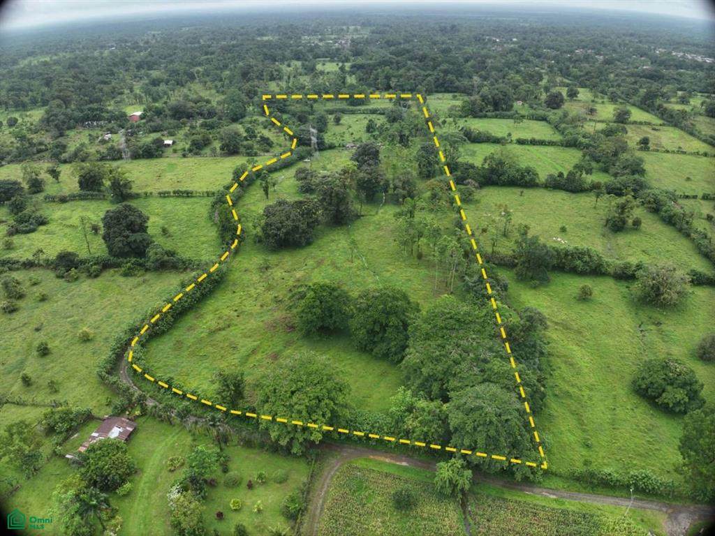  La Colonia - Photo 1