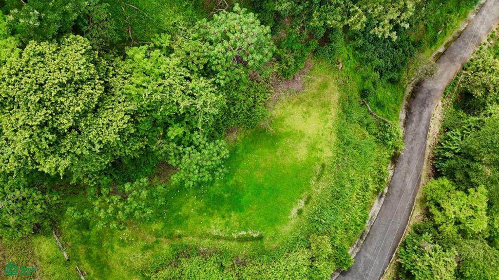  Address Not Published - Photo 1