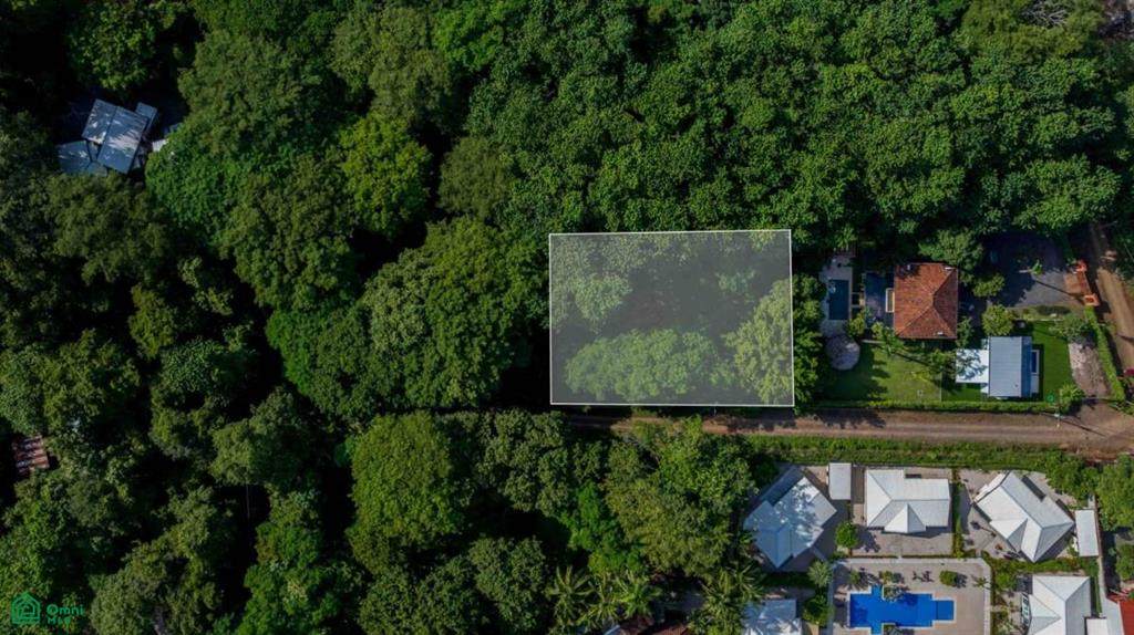  Investment Beach Lot - Photo 1