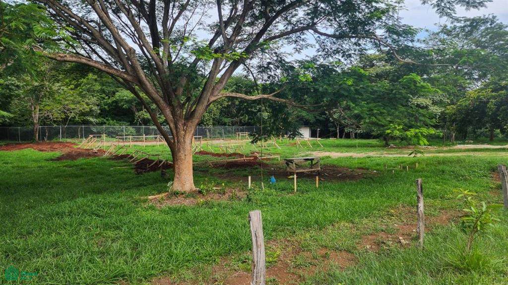 s/n Address Not Published - Photo 1