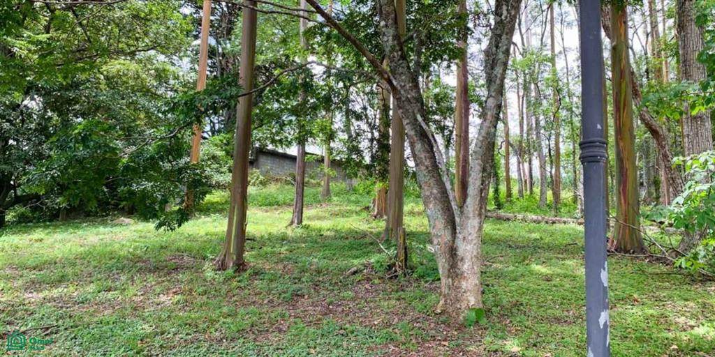  Address Not Published - Photo 1