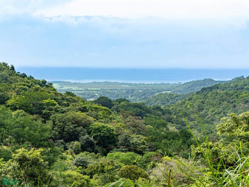  Ocean View Lots, Pilas De Bejuco, Guanacaste - Photo 1