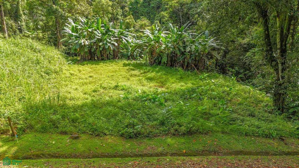 Phase 6 I-I Calle Del Bosque - Photo 1