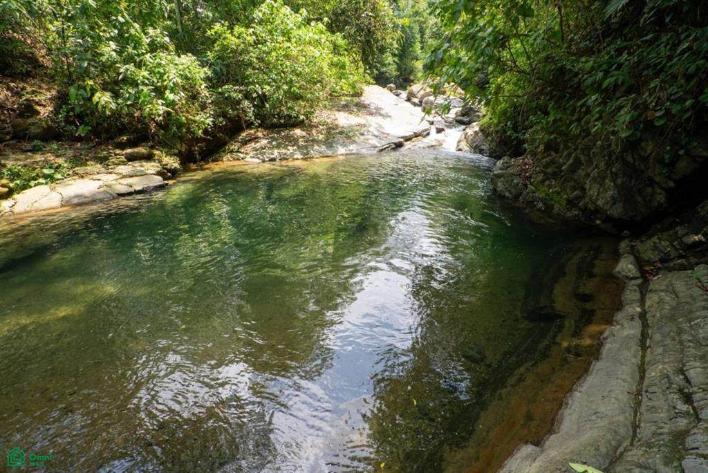  Finca Dos Bocas - Photo 1