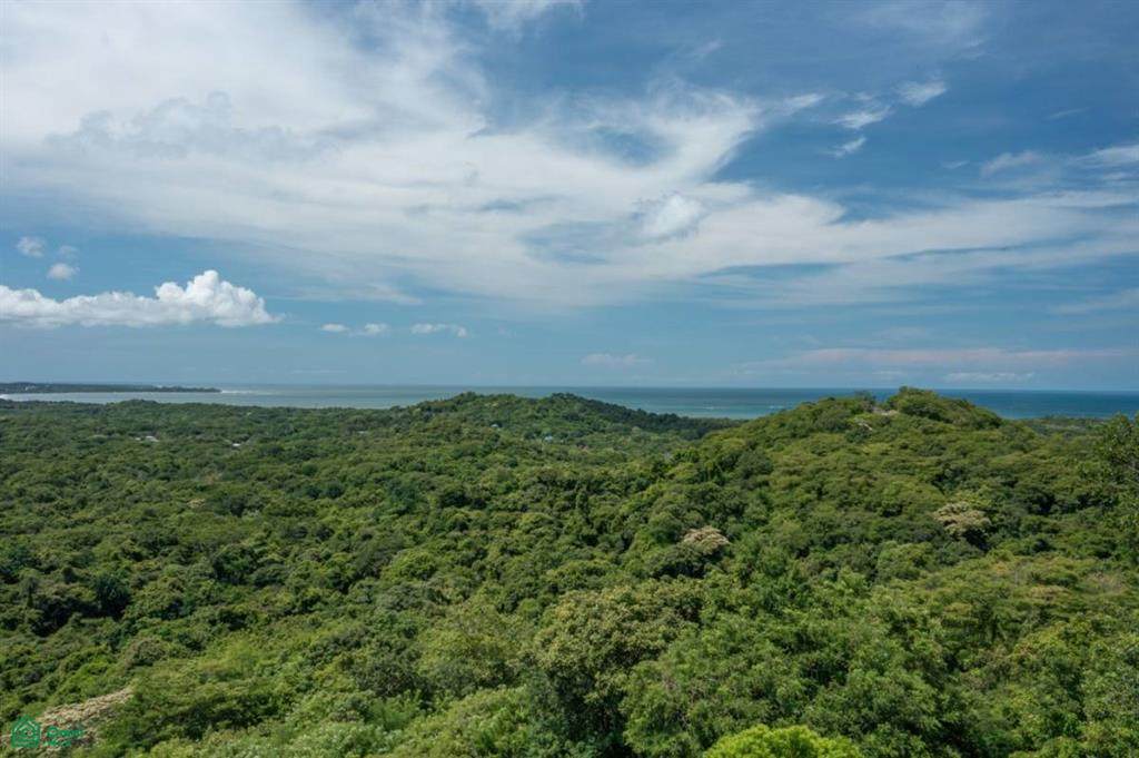 102 Las Ventanas De Playa Grande, El Camino - Photo 1