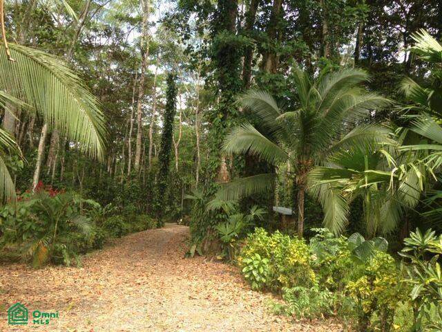 s/n Ruta 256 - Photo 1