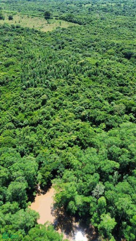 s/n 2 Kms De Playa Bajamar - Photo 1