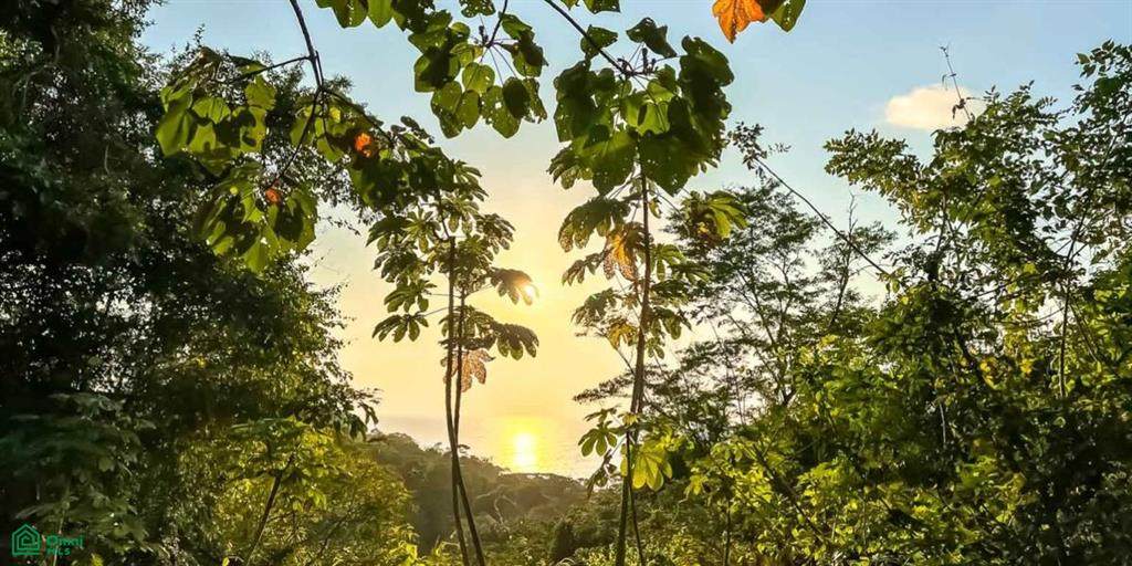  Address Not Published - Photo 1