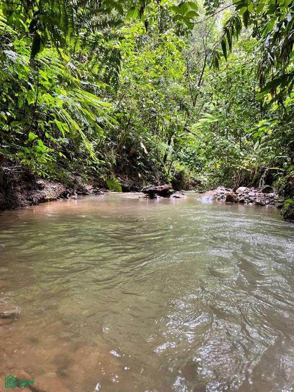 s/n 7 Colinas - Photo 1