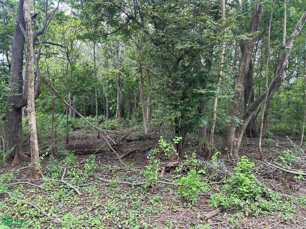  Villarreal - Photo 1