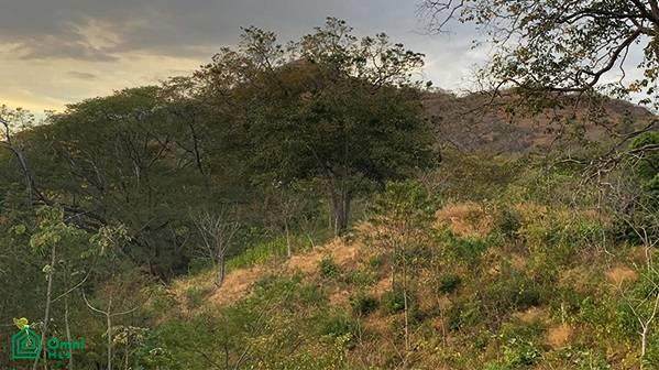  Address Not Published - Photo 1