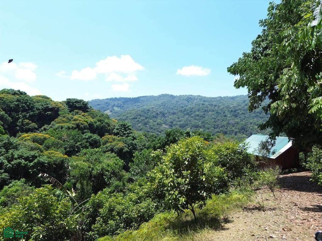  Address Not Published - Photo 1