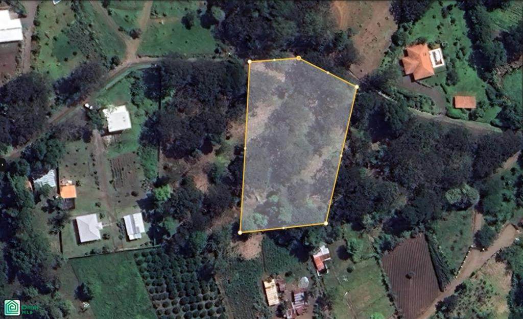 20506 Morazan - Photo 1