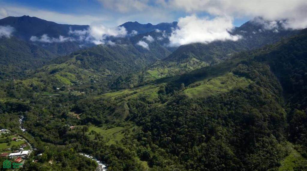  Vistas Los Angeles - Photo 1