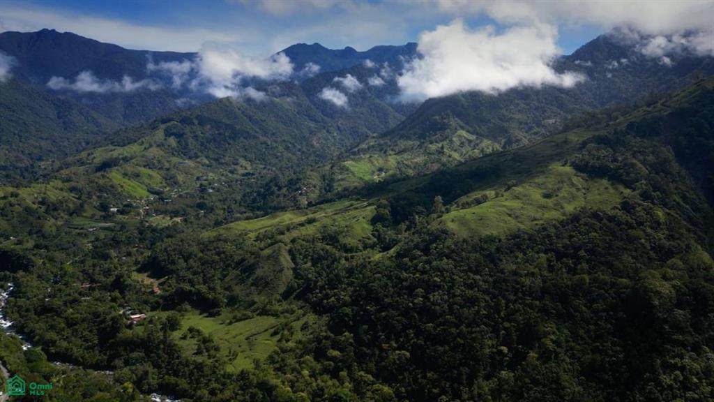  Los Angeles Estate - Photo 1