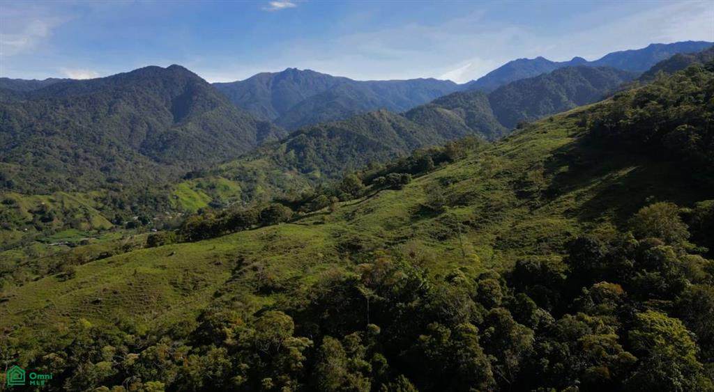  Los Pinos Los Angeles - Photo 1