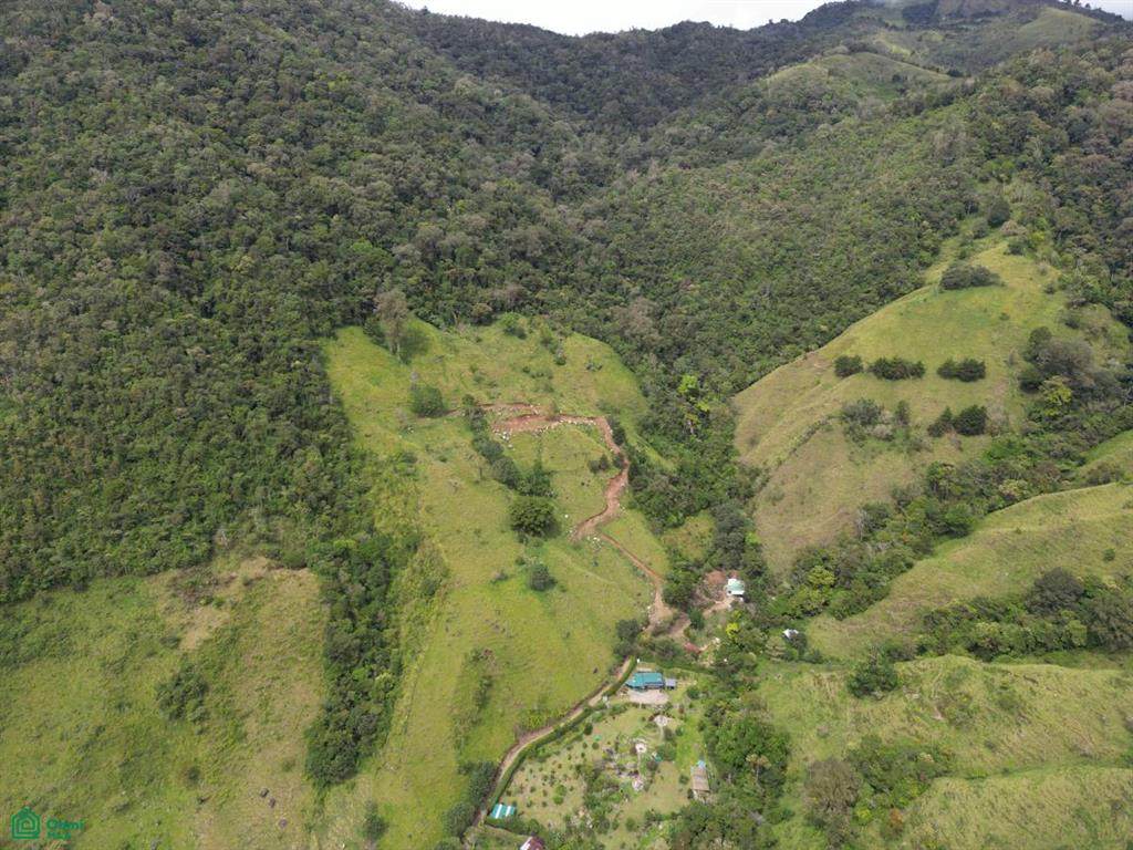  Elevated Living - Photo 1