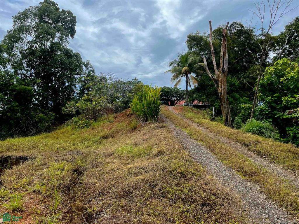  Private Ocean View Lot - Photo 1