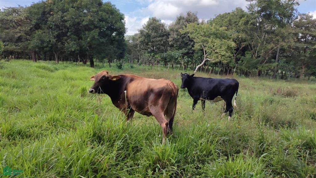 BOLSON Cerro Rayo - Photo 1