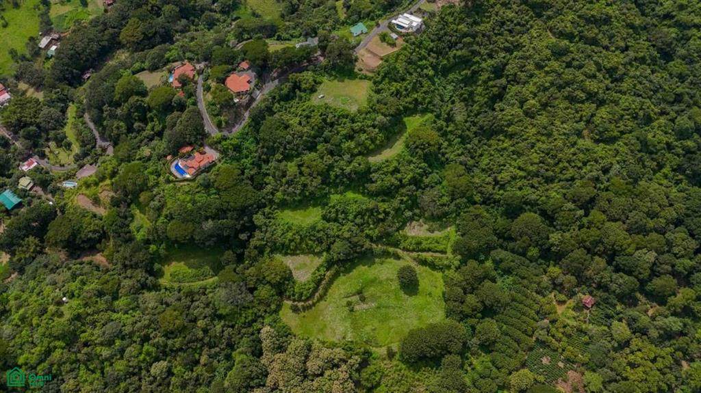  Atenas Prime Development Land - Photo 1