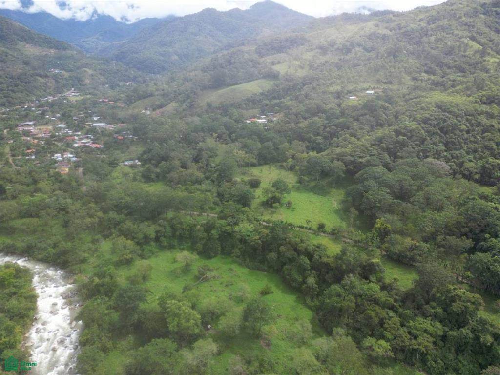  Quiet Grove Above The River | Chirripo - Photo 1