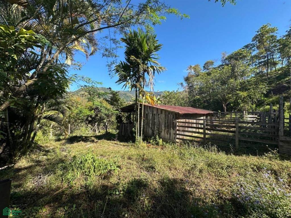  Finca Buena Vista - Photo 1