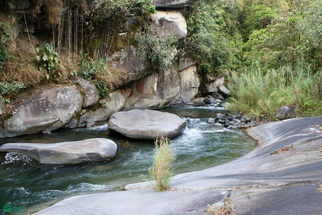  Los Angeles River Side Retreat | Chirripo - Photo 1