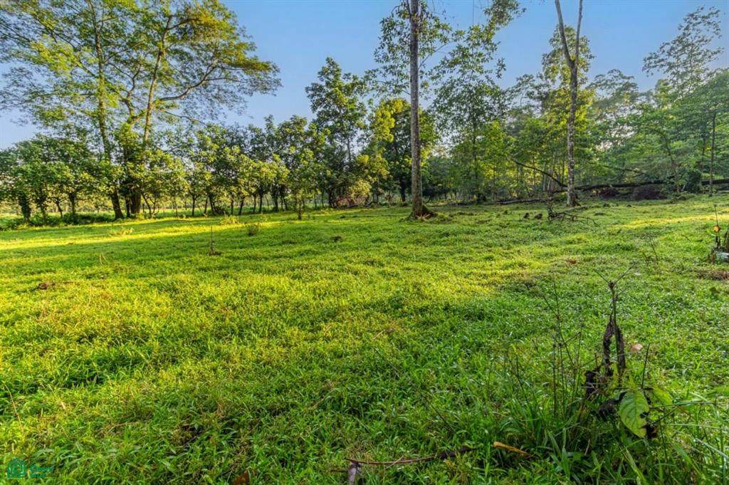  La Colonia - Photo 1