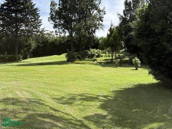  Ruta Nacional 113 - Photo 1